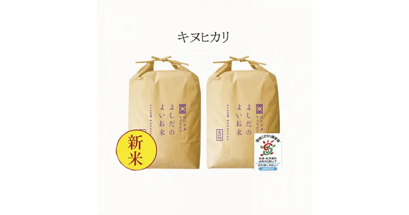 【ふるさと納税】令和5年産　よしだのよいお米 近江米キヌヒカリ5kg×2　お米