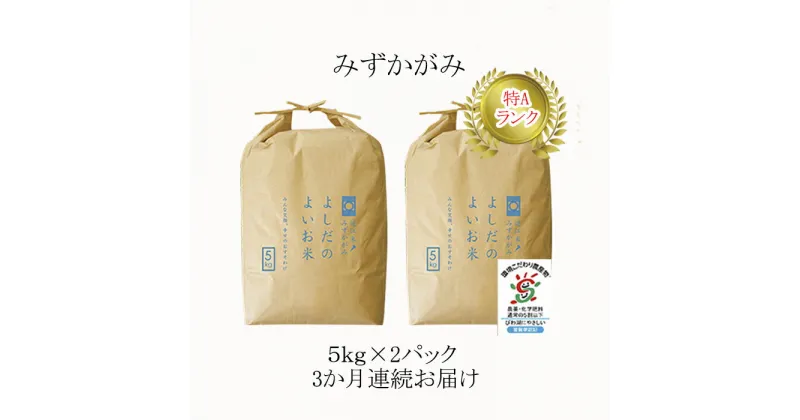 【ふるさと納税】【定期便】米 定期便 3ヶ月 近江米 みずかがみ 10kg 令和5年 よしだのよいお米 お米 こめ コメ おこめ 白米 3回 お楽しみ　定期便・ 豊郷町