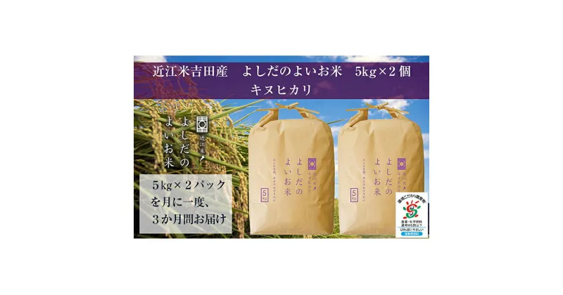 【ふるさと納税】【定期便】令和5年産　よしだのよいお米 近江米キヌヒカリ　10kg×3回　定期便・お米・キヌヒカリ・米