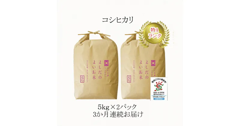 【ふるさと納税】【定期便】令和5年産　よしだのよいお米近江米コシヒカリ　10kg×3回　定期便・お米・コシヒカリ・米