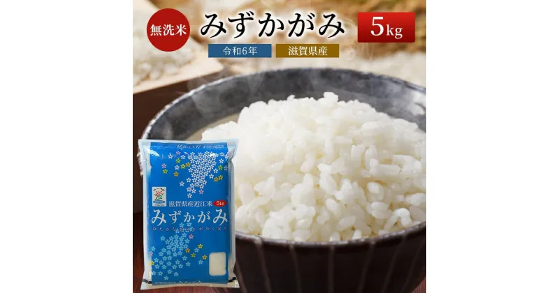 【ふるさと納税】令和6年産新米ふるさと応援特別米みずかがみ（BG無洗米）5kg　米・無洗米・お米　お届け：ご入金の翌月下旬に出荷いたします・納期指定不可