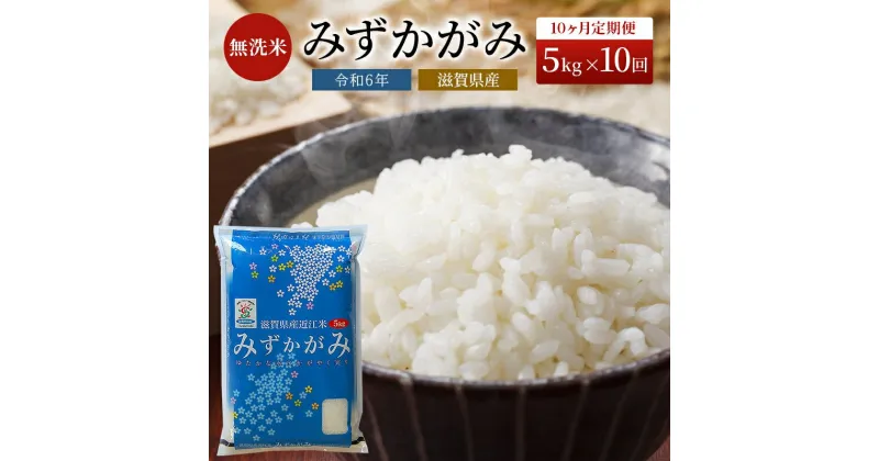 【ふるさと納税】米 定期便 10ヶ月 みずかがみ BG無洗米 5kg 令和6年産新米 ふるさと応援特別米 無洗米 お米 こめ コメ おこめ 白米 10回 お楽しみ　定期便・ 豊郷町 　お届け：ご入金の翌月下旬に出荷いたします・納期指定不可