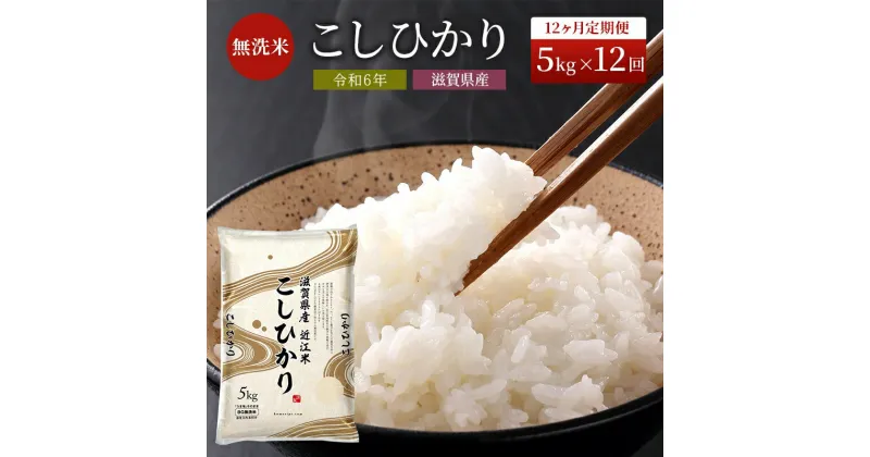 【ふるさと納税】米 定期便 12ヶ月 こしひかり BG無洗米 5kg 令和6年産新米 ふるさと応援特別米 無洗米 お米 こめ コメ おこめ 白米 コシヒカリ 12回 お楽しみ　定期便・ 豊郷町 　お届け：ご入金の翌月下旬に出荷いたします・納期指定不可