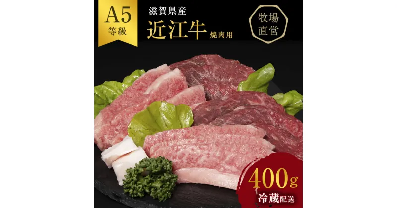 【ふるさと納税】近江牛焼肉 約400g A5 雌牛 モモ・カタ・ウデ・バラ系等 西川畜産 牛肉 黒毛和牛 焼き肉 焼肉用 バーベキュー 肉 お肉 牛 和牛　 豊郷町 　お届け：繁忙期に限り納期最長3～5ヶ月。納期指定不可