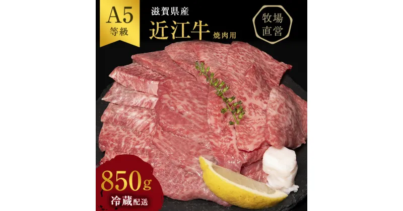 【ふるさと納税】【近江牛 西川畜産】A5ランク雌牛 焼肉用 約850g （モモ・カタ・ウデ・バラ系等）　 ふるさと納税 近江牛 お肉 牛肉 焼肉 バーベキュー モモ バラ(カルビ) 　お届け：繁忙期に限り納期最長3～5ヶ月。納期指定不可