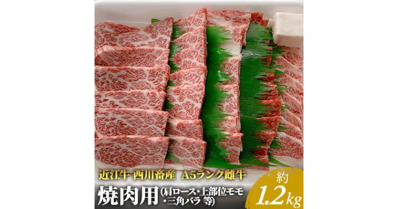 【ふるさと納税】【近江牛 西川畜産】A5ランク雌牛 焼肉用 約1.2kg （肩ロース・上部位モモ・三角バラ等）　 ふるさと納税 近江牛 お肉 牛肉 焼肉 バーベキュー ロース 　お届け：繁忙期に限り納期最長3～5ヶ月。納期指定不可