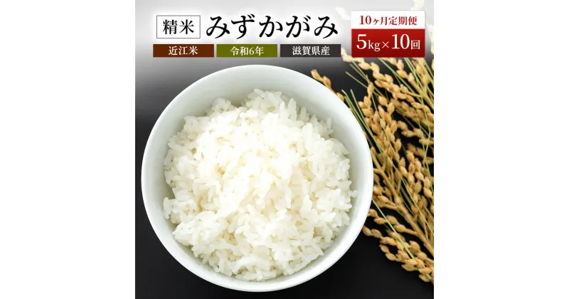 【ふるさと納税】【新米】【定期便】令和6年産　豊かな郷の近江米みずかがみ 5kg×10ヶ月連続　定期便・お米・みずかがみ・箱入り・10カ月・10回