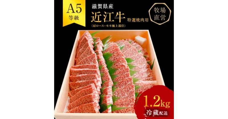 【ふるさと納税】近江牛 特選 焼肉 約1.2kg A5 雌牛 西川畜産 牛肉 黒毛和牛 焼き肉 焼肉用 バーベキュー 肉 お肉 牛 和牛 サーロインステーキ　 豊郷町 　お届け：繁忙期に限り納期最長3～5ヶ月。納期指定不可