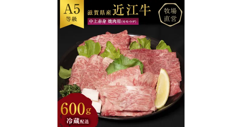 【ふるさと納税】近江牛 焼肉 中上赤身焼肉用 約600g A5 雌牛 西川畜産 牛肉 黒毛和牛 焼き肉 焼肉用 バーベキュー 赤身 肉 お肉 牛 和牛　 豊郷町 　お届け：繁忙期に限り納期最長3～5ヶ月。納期指定不可