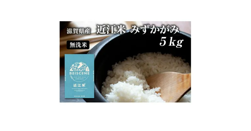 【ふるさと納税】令和6年産新米 滋賀県豊郷町産　近江米 みずかがみ　無洗米　5kg　お米・米・無洗米