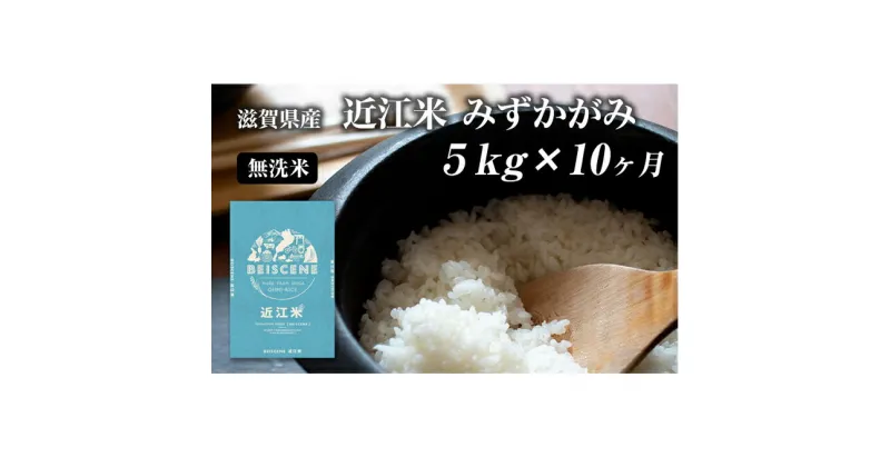 【ふるさと納税】【定期便】令和6年産新米　滋賀県豊郷町産　近江米 みずかがみ　無洗米　5kg×10ヶ月　定期便・お米・米・無洗米　お届け：ご入金の翌月中旬に出荷いたします