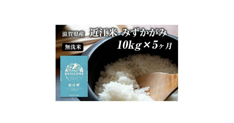 【ふるさと納税】【定期便】令和6年産新米　滋賀県豊郷町産　近江米 みずかがみ　無洗米　10kg×5ヶ月　定期便・お米・米・無洗米　お届け：ご入金の翌月中旬に出荷いたします