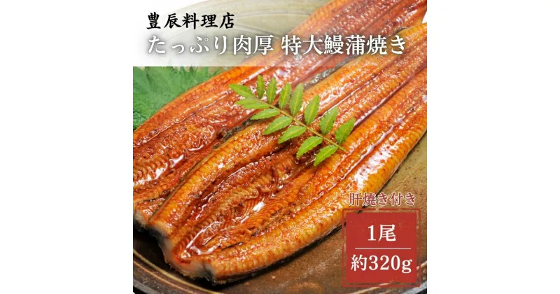 【ふるさと納税】鰻蒲焼き 特大サイズ（約320g）　 魚貝類 加工食品 加工品 惣菜 冷凍 秘伝のたれ 肉厚