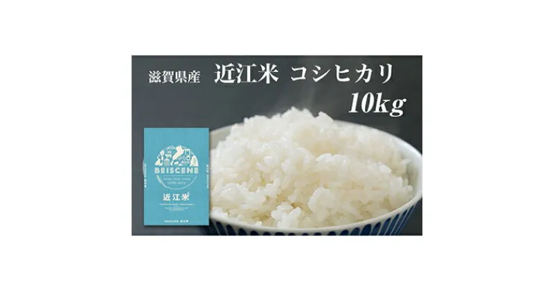 【ふるさと納税】令和6年産新米　滋賀県豊郷町産　近江米 コシヒカリ　10kg　お米・お米・コシヒカリ