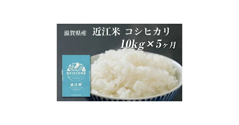 【ふるさと納税】【定期便】令和6年産新米　滋賀県豊郷町産　近江米 コシヒカリ　10kg×5ヶ月　定期便・ お米 白米 ごはん ライス 主食 炭水化物 おにぎり 　お届け：ご入金の翌月中旬に出荷いたします