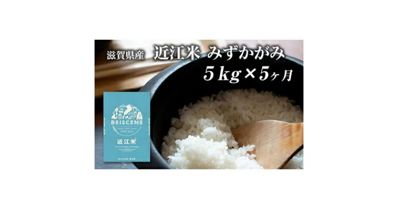 【ふるさと納税】【定期便】令和6年産新米　滋賀県豊郷町産　近江米 みずかがみ　5kg×5ヶ月　定期便・ お米 白米 ごはん ライス 主食 炭水化物 おにぎり 　お届け：ご入金の翌月中旬に出荷いたします