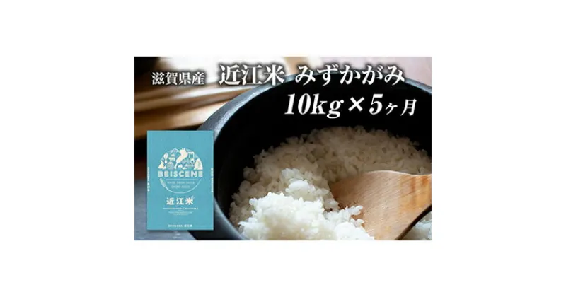 【ふるさと納税】【定期便】令和6年産新米　滋賀県豊郷町産　近江米 みずかがみ　10kg×5ヶ月　定期便・ お米 白米 ごはん ライス 主食 炭水化物 おにぎり 　お届け：ご入金の翌月中旬に出荷いたします