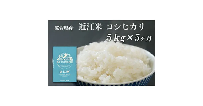 【ふるさと納税】【定期便】令和6年産新米　滋賀県豊郷町産　近江米 コシヒカリ　5kg×5ヶ月　定期便・ お米 白米 ごはん ライス 主食 炭水化物 おにぎり 　お届け：ご入金の翌月中旬に出荷いたします