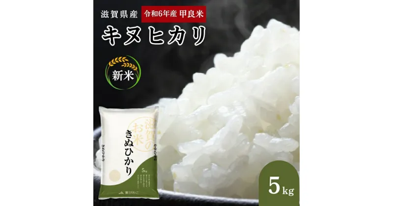 【ふるさと納税】【新米】令和6年産甲良米「キヌヒカリ」白米 5kg お米 こめ コメ おこめ 白米 キヌヒカリ　お米