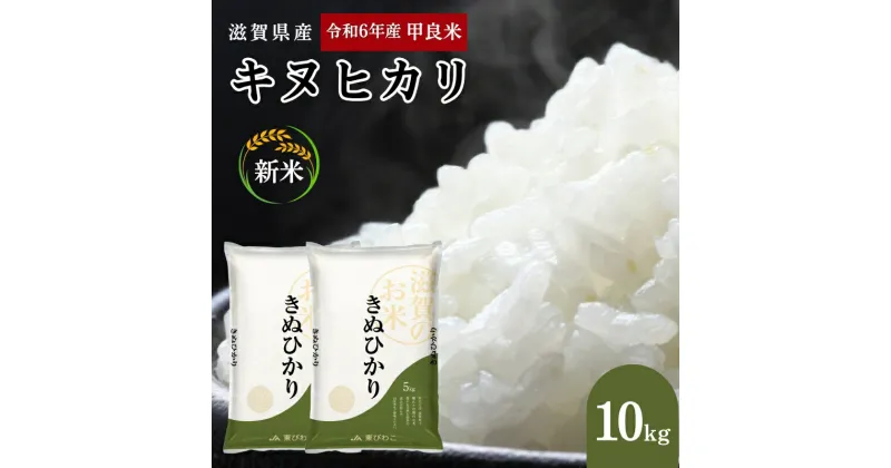 【ふるさと納税】【新米】令和6年産甲良米「キヌヒカリ」白米 10kg　お米 こめ コメ おこめ 白米 キヌヒカリ　お米