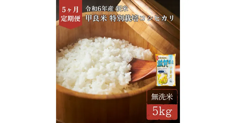 【ふるさと納税】400個限定【令和6年産新米】甲良米 特別栽培コシヒカリ 無洗米 5kg 5ヶ月連続　定期便・ お米 ライス ご飯 ブランド米 銘柄米 お弁当 おにぎり 直送 主食 炭水化物 特別栽培米 時短