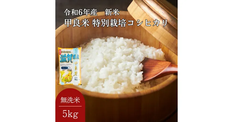 【ふるさと納税】400個限定【令和6年産新米】甲良米 特別栽培コシヒカリ 無洗米 5kg　 お米 ライス ご飯 ブランド米 銘柄米 お弁当 おにぎり 直送 主食 炭水化物 特別栽培米 時短 　お届け：ご入金の翌月中旬以降お届け