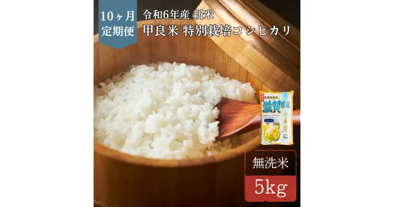 【ふるさと納税】400個限定【令和6年産新米】甲良米 特別栽培コシヒカリ 無洗米 5kg 10ヶ月連続　定期便・ お米 ライス ご飯 ブランド米 銘柄米 お弁当 おにぎり 直送 主食 炭水化物 特別栽培米 時短