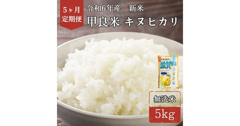 【ふるさと納税】400個限定【令和6年産新米】甲良米 キヌヒカリ 無洗米 5kg 5ヶ月連続お届け　定期便　お届け：2024年9月10日より順次出荷予定 台風や天候などによりお届けまでにお時間をいただく場合がございます。予めご了承ください。