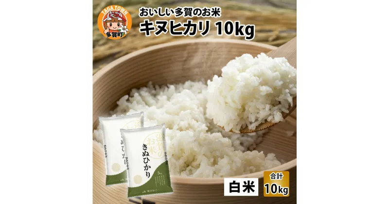 【ふるさと納税】【令和6年産】キヌヒカリ10kg（5kg × 2袋） おいしい多賀のお米 [B-00401] / 滋賀県産 多賀町 米 お米 白米 ご飯 精米 袋 国産 送料無料