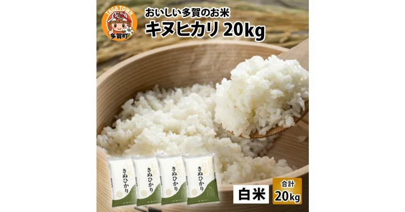 【ふるさと納税】【令和6年産】キヌヒカリ20kg（5kg × 4袋） おいしい多賀のお米 [C-00401] / 滋賀県産 多賀町 米 お米 白米 ご飯 精米 袋 国産 送料無料