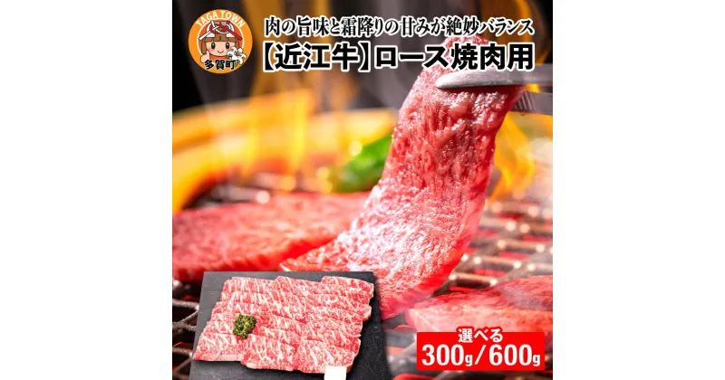 【ふるさと納税】【日本三大和牛】近江牛ロース焼肉用 選べる容量（300g／600g）[B-01201] [D-01207] / 国産 ブランド牛 和牛 最高級 赤身 霜降り お肉 ロース お取り寄せ お取り寄せグルメ やきにく 焼肉 薄切り 牛肉 ギフト 贈り物 お中元 お歳暮 滋賀県 多賀町 送料無料