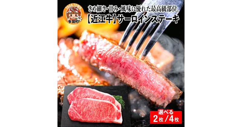 【ふるさと納税】近江牛サーロインステーキ （170g × 2枚 / 170g × 4枚） 選べる容量 / BBQ 国産 ブランド牛 和牛 最高級 赤身 霜降り お肉 お取り寄せ お取り寄せグルメ 牛肉 ギフト 贈り物 お中元 お歳暮 滋賀県 多賀町 送料無料/[C-01203] [D-01208]