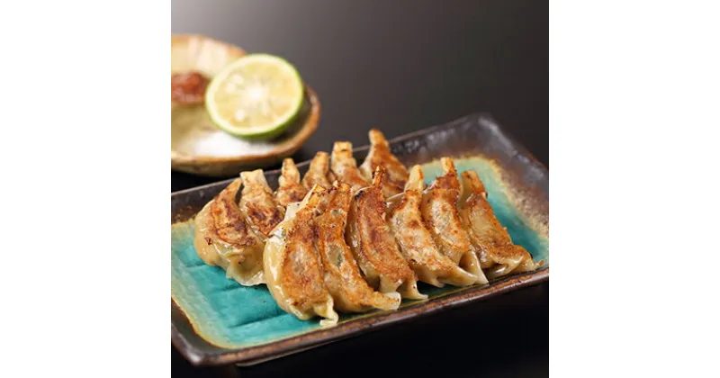 【ふるさと納税】【餃子の虜や】虜や餃子と大葉餃子のハーフ&ハーフセット| 餃子 虜や餃子 大葉餃子 セット 15個入り 各2パック 冷凍 逸品 お取り寄せ グルメ ご当地 ギフト お祝い 内祝い ご自宅用 ご家庭用 虜や 京都府 京都市