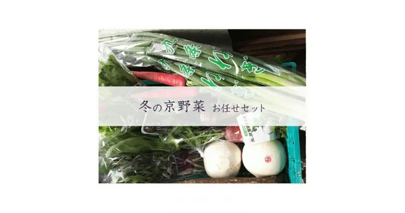 【ふるさと納税】【京野菜・果物　美方屋】創業70年　美方屋厳選！ 季節の京野菜お任せセット