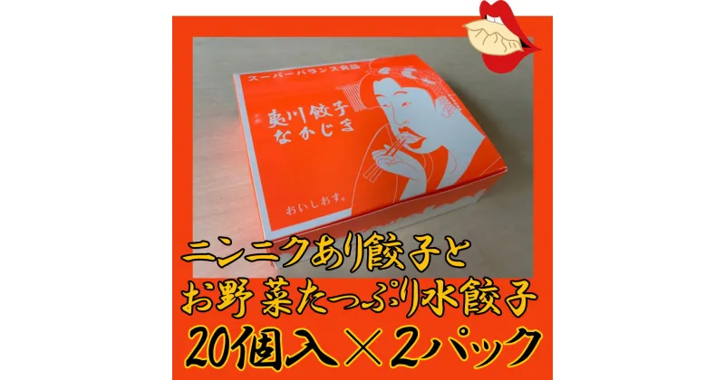 【ふるさと納税】【夷川餃子なかじま】京都特産ぽーく「ニンニクあり餃子とお野菜たっぷり水餃子」のセット| 京野菜 京都ぽーく 総菜 冷凍 餃子 ぎょうざ 逸品 お取り寄せ お土産 グルメ ご当地 ギフト お祝い ご家庭用 ご自宅用 京都 京都府 京都市