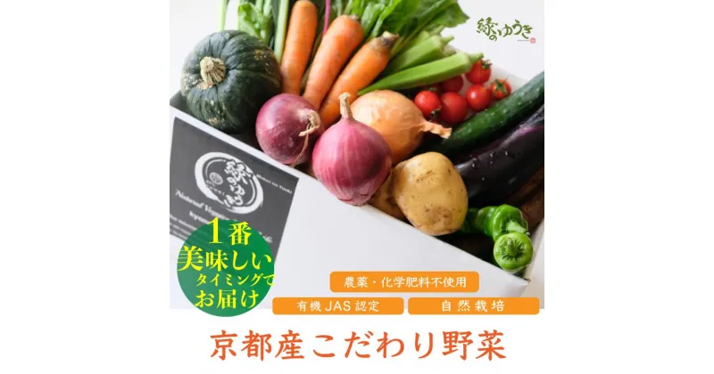 【ふるさと納税】《2024年12月より順次発送》【緑のゆうき】野菜の売上1％が社会の応援に　京都産こだわりの野菜（有機野菜、栽培期間中農薬・化学肥料不使用など）の一番美味しいタイミングで収穫したセット│京都市 京都 野菜 採れたて