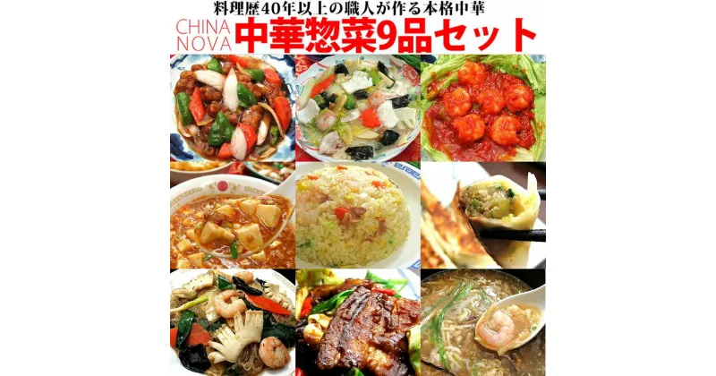 【ふるさと納税】中華料理 9種9品 セット チャイナノーヴァ | 京都府 京都市 京都 中華 惣菜 中華専門店 グルメ セット 酢豚 八宝菜 海老 チリソース 麻婆豆腐 野菜 海鮮 フカヒレ 玉子 スープ ナス 餃子 チャーハン 逸品 お取り寄せ お土産 グルメ