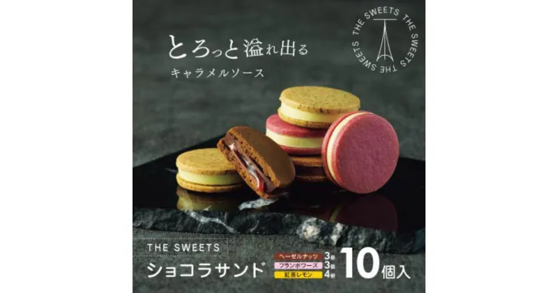 【ふるさと納税】【2024年10月下旬～発送／期間限定】ザ・スウィーツ　ショコラサンド（10個） | 菓子 おかし スイーツ デザート 食品 人気 おすすめ 送料無料