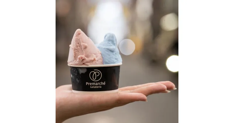 【ふるさと納税】【Premarché Gelateria】国際コンテスト入賞店の人気ジェラート6個セット Milky set | プレマルシェ ジェラテリア お菓子 菓子 おかし 氷菓 スイーツ デザート 食品 人気 おすすめ 送料無料