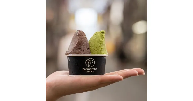 【ふるさと納税】【Premarché Gelateria】国際コンテスト入賞店の人気ジェラート6個セット　Vegan set | プレマルシェ ジェラテリア お菓子 菓子 おかし 氷菓 スイーツ デザート 食品 人気 おすすめ 送料無料