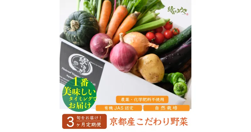 【ふるさと納税】＜3か月定期＞【緑のゆうき】購入頂いた野菜の売上の1％が社会への応援に　京都産こだわりの野菜（有機野菜、栽培期間中農薬・化学肥料不使用など）の一番美味しいタイミングで収穫したセット