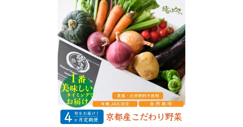 【ふるさと納税】＜4か月定期＞【緑のゆうき】購入頂いた野菜の売上の1％が社会への応援に　京都産こだわりの野菜（有機野菜、栽培期間中農薬・化学肥料不使用など）の一番美味しいタイミングで収穫したセット