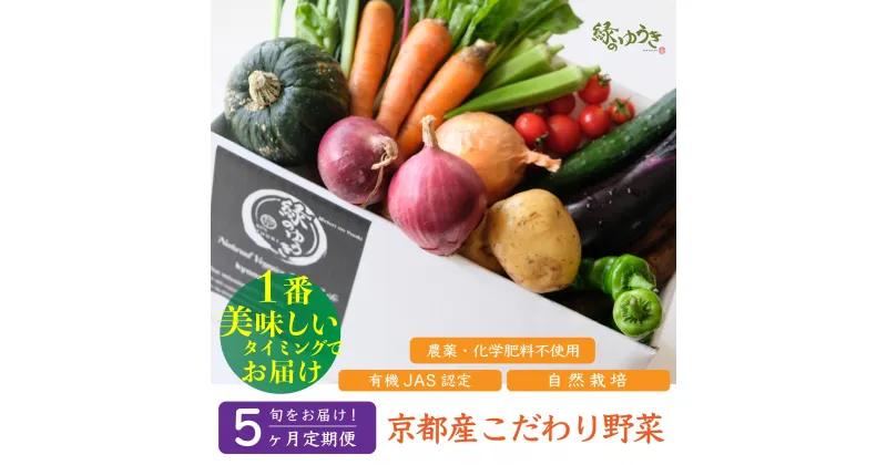 【ふるさと納税】＜5か月定期＞【緑のゆうき】購入頂いた野菜の売上の1％が社会への応援に　京都産こだわりの野菜（有機野菜、栽培期間中農薬・化学肥料不使用など）の一番美味しいタイミングで収穫したセット