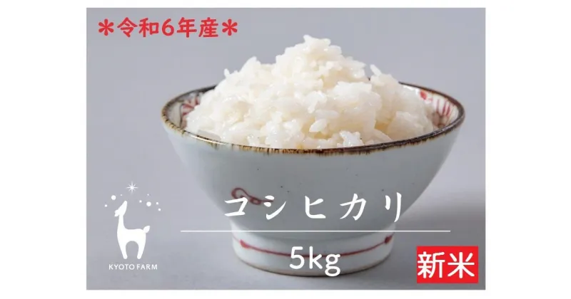 【ふるさと納税】【京都ファーム】令和6年産 京都ファームのコシヒカリ 精米5kg | 新米 令和6年度産 こしひかり 京都産 京都米 米 お米 ごはん 5キロ