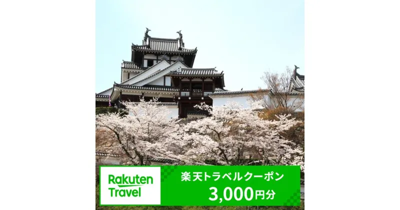 【ふるさと納税】京都府福知山市の対象施設で使える楽天トラベルクーポン 寄附額10,000円 FCCH001