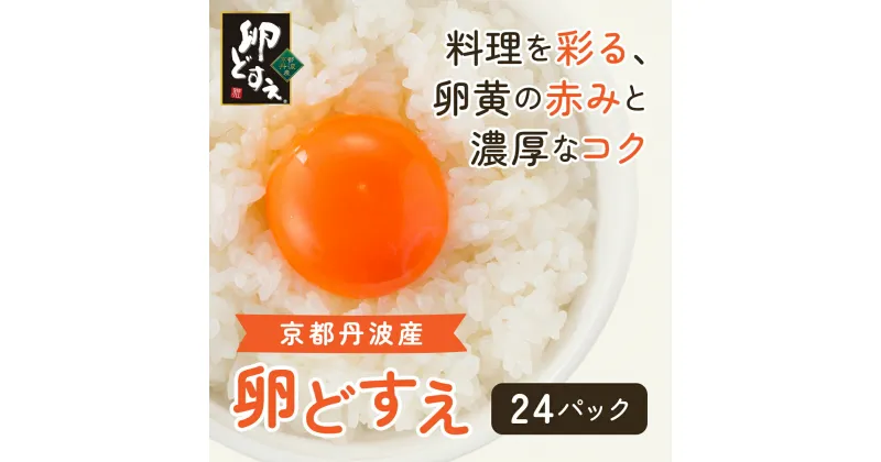 【ふるさと納税】 京都丹波産！府初の「農場HACCP認証」「JGAP認証」取得農場から!赤み卵黄「卵どすえ」24パック ふるさと納税 卵 玉子 たまご 生卵 タマゴ 温泉卵 卵かけご飯 TKG 卵料理 国産 京都府 福知山市 FCBX005