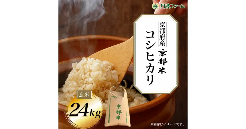 【ふるさと納税】＜令和6年産新米＞京都府産コシヒカリ 玄米24kg ふるさと納税 玄米 こめ コシヒカリ こしひかり 24kg 京都府 福知山市 FCW005