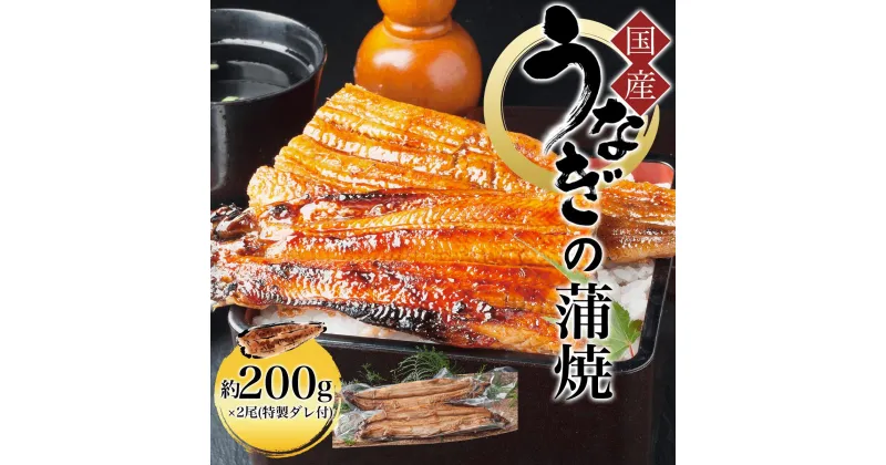 【ふるさと納税】 国産うなぎの蒲焼 約200g×2尾(特製ダレ付) ふるさと納税 鰻 うなぎ 蒲焼 国産 京都府 福知山市 FCAW005