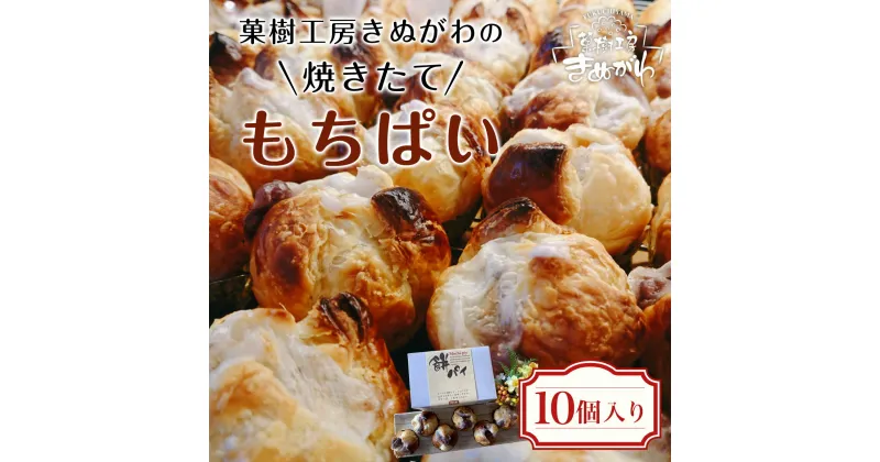 【ふるさと納税】 菓樹工房きぬがわの焼きたてもちぱい10個 ふるさと納税 パン パイ包み 餅 京都府 福知山市 FCBO001