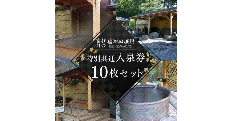 【ふるさと納税】 ＜福知山温泉＞特別共通入泉券10枚セット ふるさと納税 福知山温泉 温泉 京都府 福知山市 FCCT001